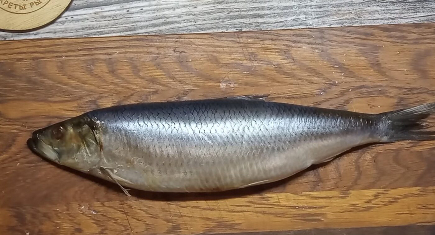 Відмінності між оселедцем та матіасом