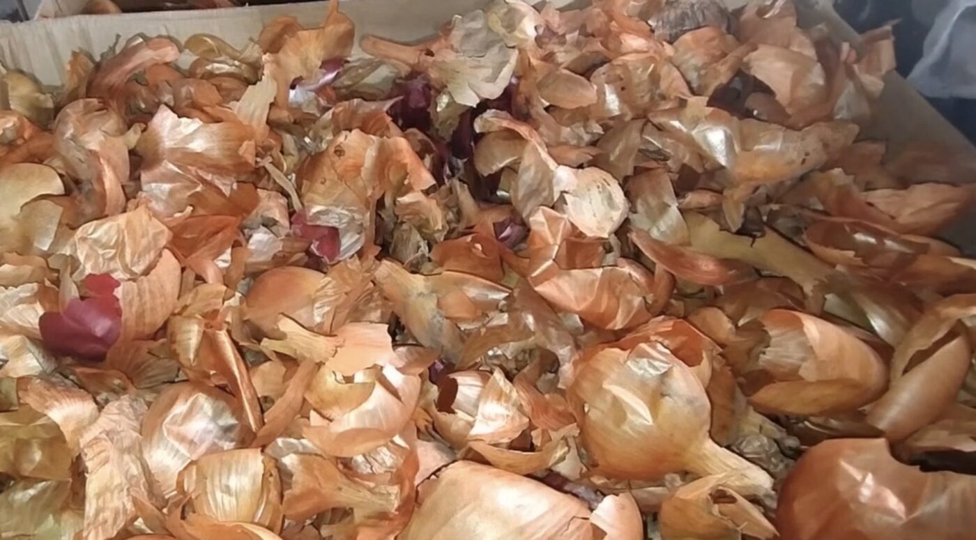 Як удобрити картоплю цибулинням під час посадки