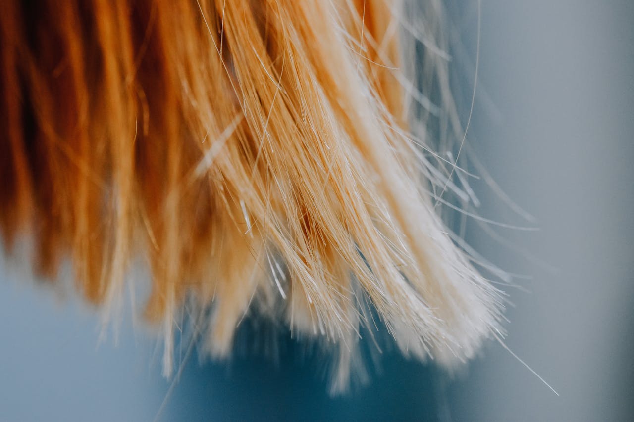 Експерти порадили, чим змастити кінчики волосся, аби воно не ламалось і було дуже густим