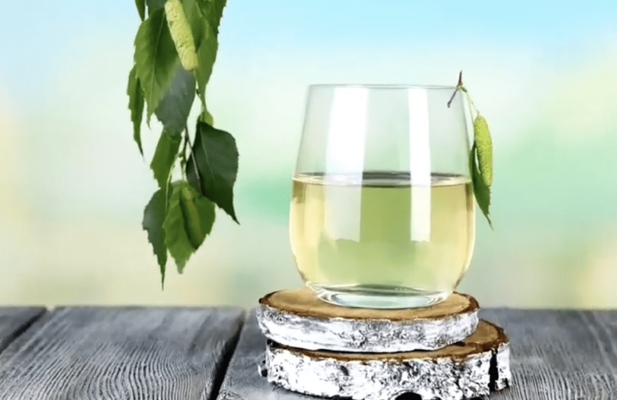 Яким категоріям людей не можна пити березовий сік. Фото: YouTube 7 цікавих фактів