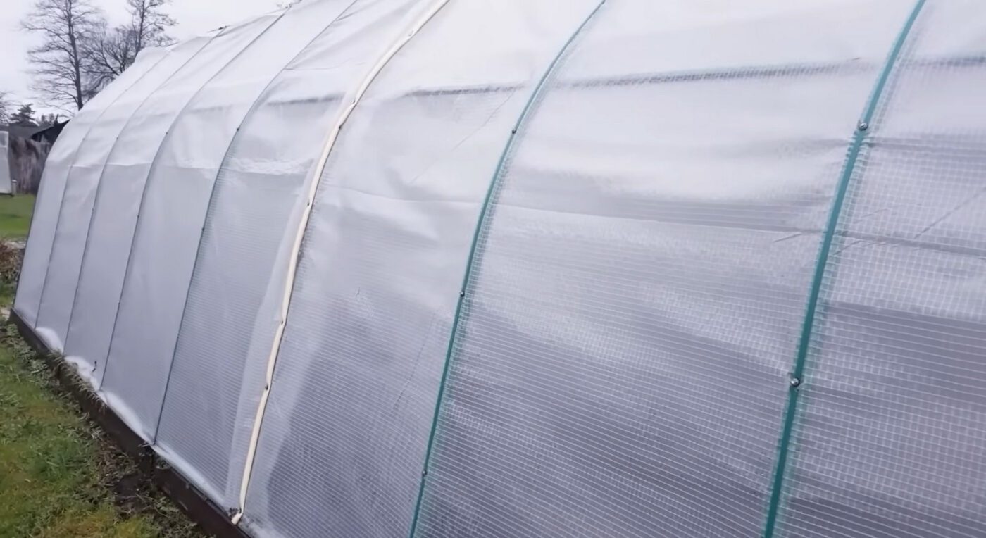 Армована плівка замість полікарбонату в теплицях і парниках