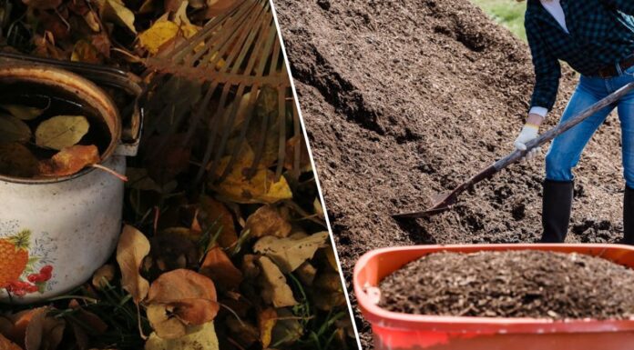 Як покращити ефективність компосту. Фото: Pexels