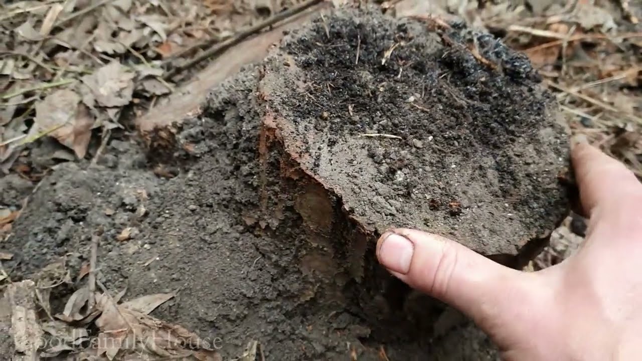 Експерти порадили простий спосіб, який допоможе очистити ділянку від пенька. Фото: YouTube Строительство дома. Просто о сложном