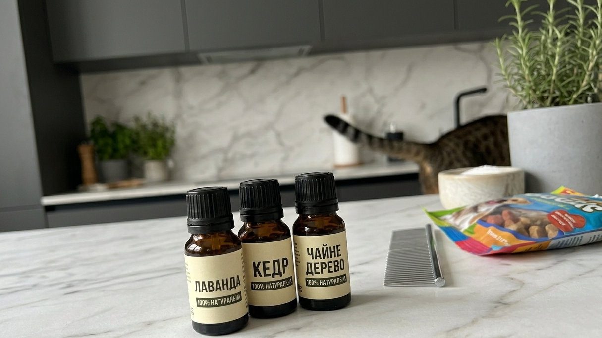 Ефірні олії – гарний засіб проти бліх та кліщів, але їх треба застосовувати з розумом
