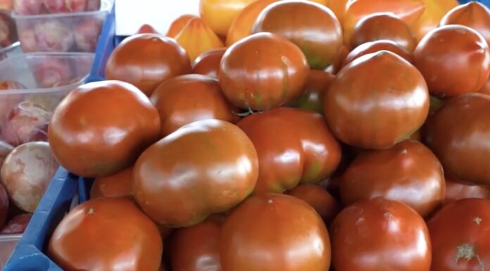 Експерти розповіли, як вибрати найсолодші помідори за зовнішнім виглядом. Фото: YouTube Телеканал ВІТА