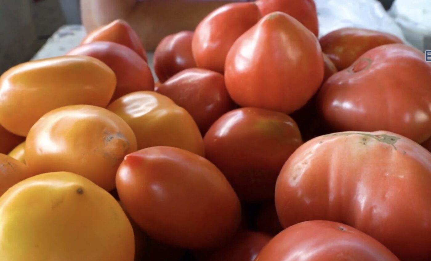 Як вибрати найсолодші помідори за зовнішнім виглядом. Фото: YouTube Телеканал ВІТА