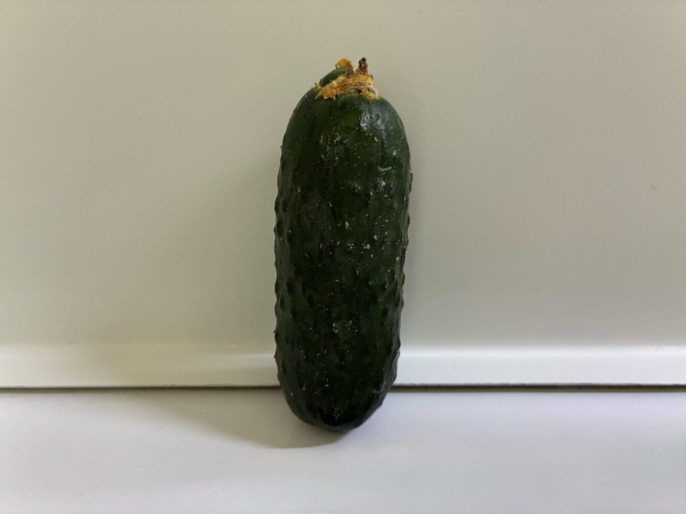 Городники порадили, яке добриво внести під кущі огірків для смачних плодів. Фото: Одна Хвилина