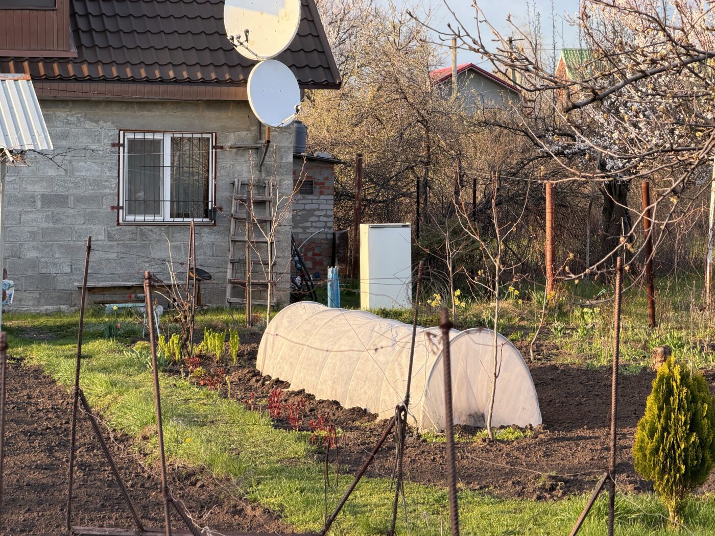 Експерти розповіли, як очистити ґрунт від яєць слимаків і шкідників для покращення врожайності. Фото: Одна Хвилина