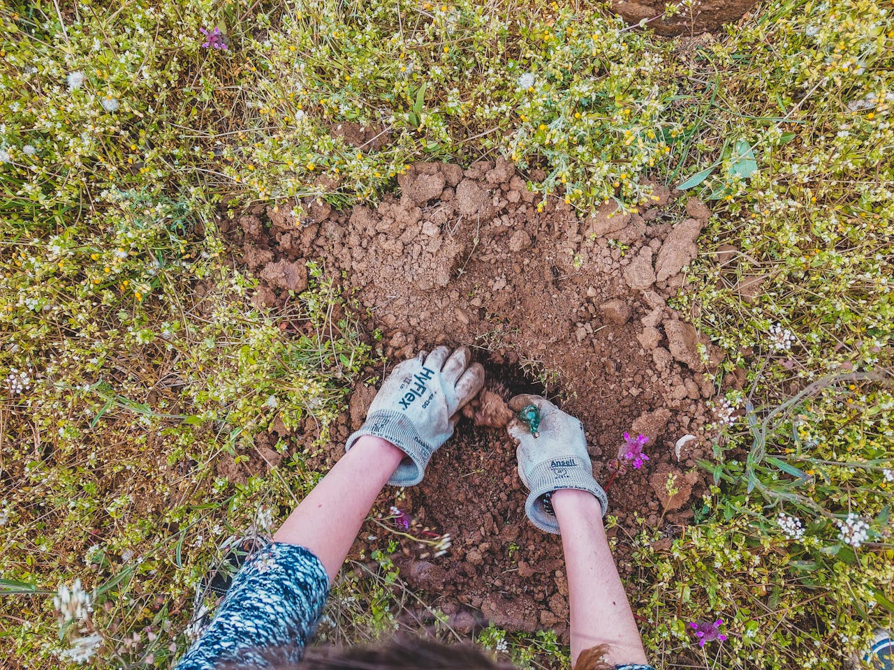 Садівники розповіли, як позбутись від бур'янів без прополювання. Фото: Pexels