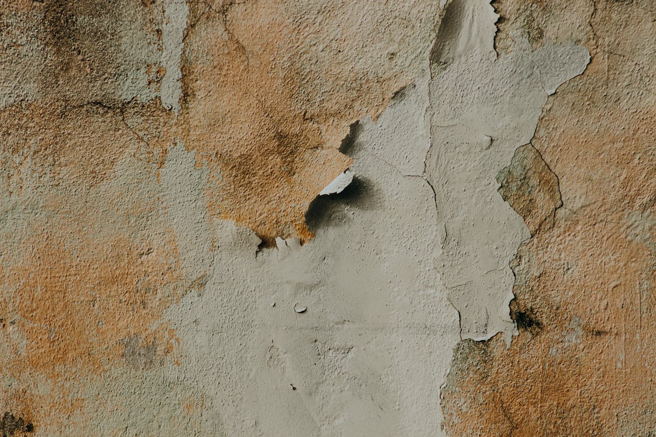 Експерти порадили простий спосіб позбутись від конденсату та цвілі. Фото: Pexels