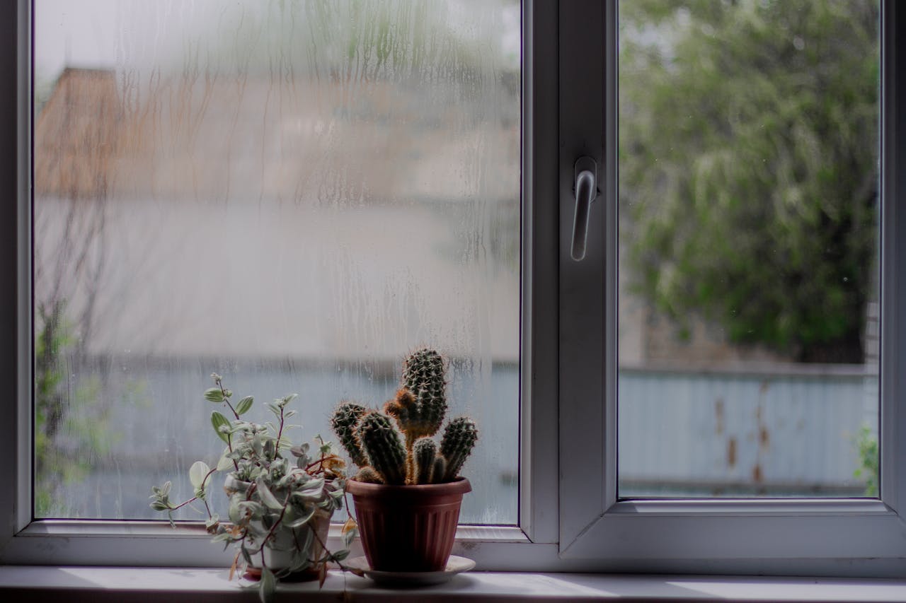 Експерти порадили простий спосіб позбутись від конденсату та цвілі. Фото: Pexels