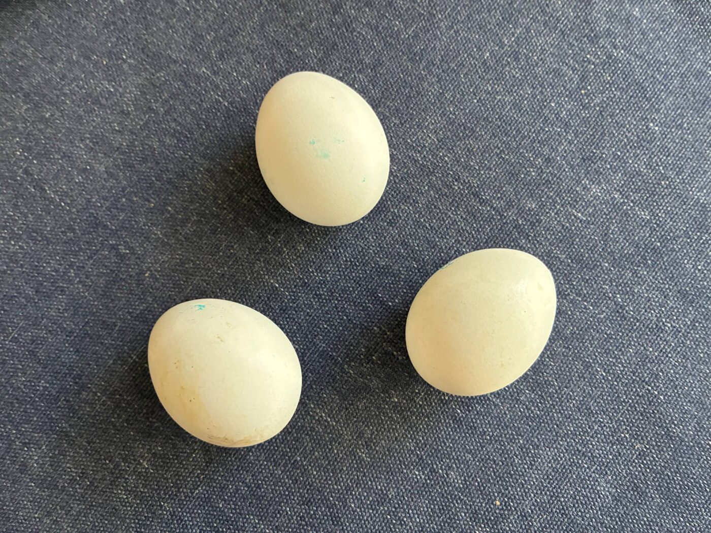 Господині порадили, з чим варити яйця, аби вони легше чистились. Фото: Одна Хвилина