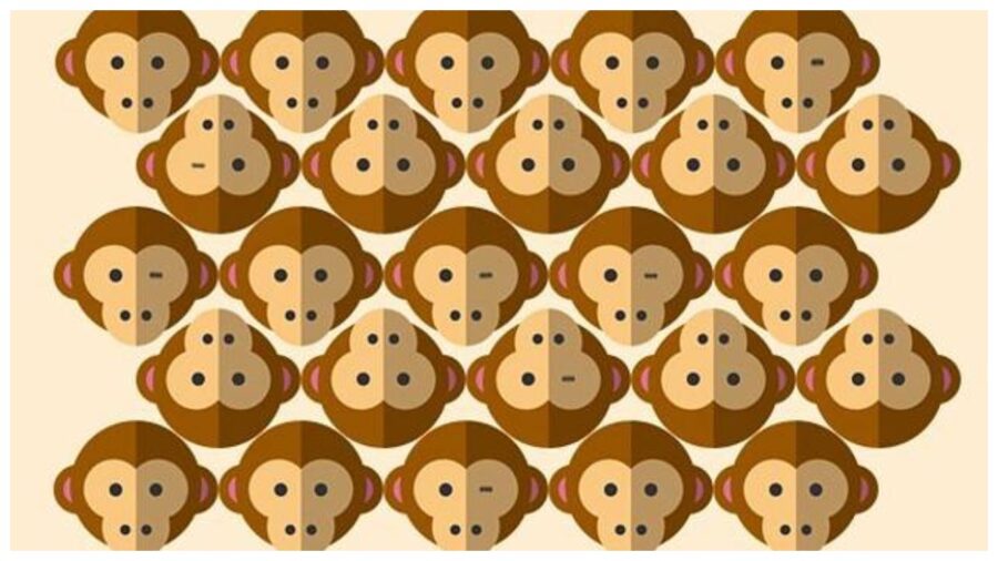 Скільки мавп підморгують правим оком?