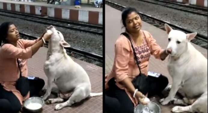 (Відео) Жінка годує собаку на вокзалі у Західній Бенгалії незвичайним способом: собачка не відмовляється 