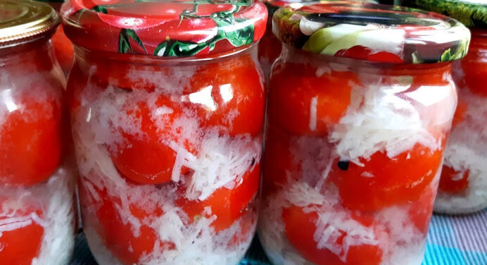 Помідори “в снігу” без варіння і стерилізації: рецепт маринованих помідорів на зиму – консервація як у бабусі 
