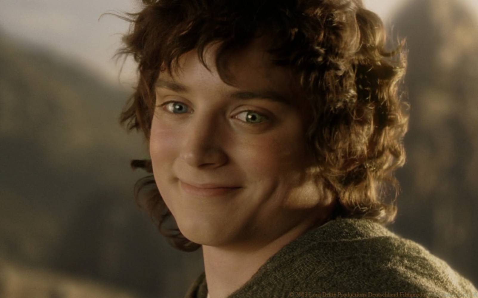 Скільки насправді років Фродо з Володаря перснів