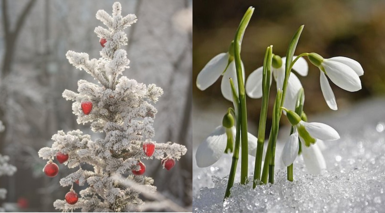 Зимою буде весна: синоптики дали неочікуваний прогноз погоди на січень 2023 року в Україні