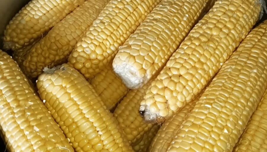 Консервована кукурудза на зиму в банках: більше не купую в магазині