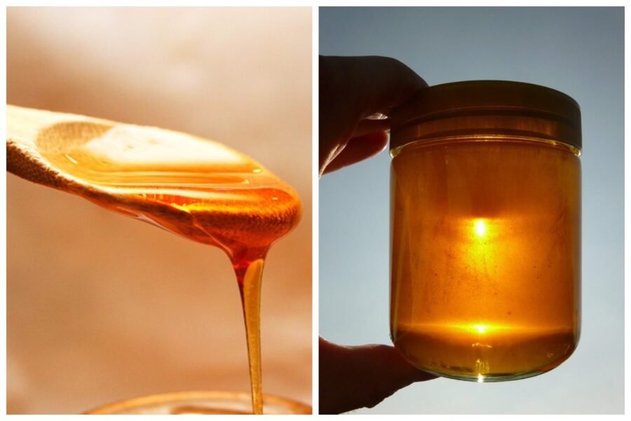 Способи перевірки меду