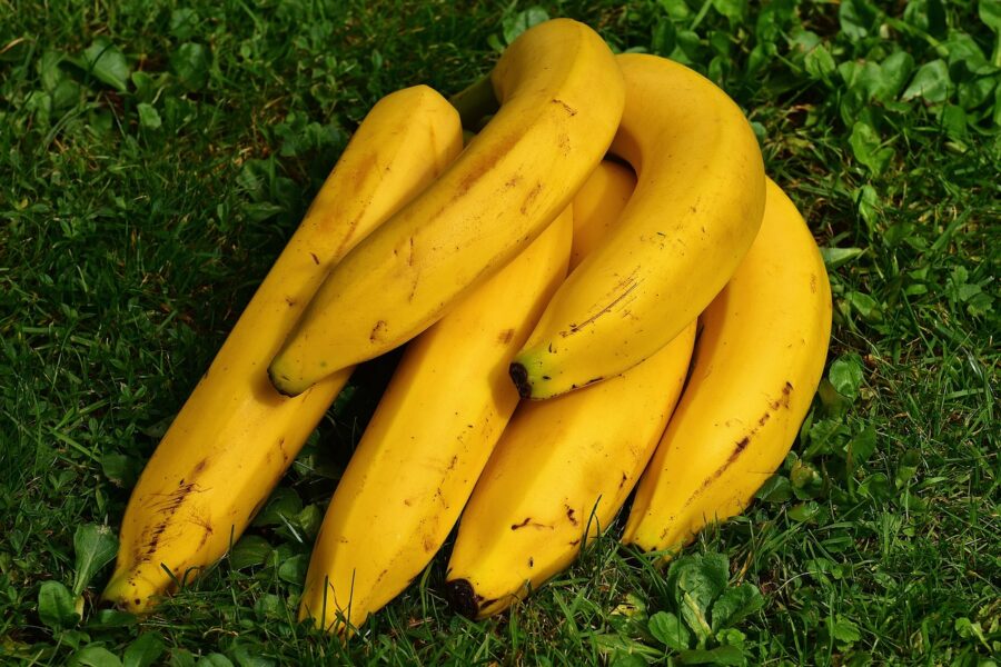 Як зберігати банани, щоб вони не чорніли та чому фрукти так швидко псуються