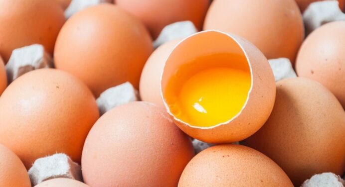 На свята купую багато яєць, як зрозуміти, чи вони свіжі? Ці корисні способи повинні знати всі 
