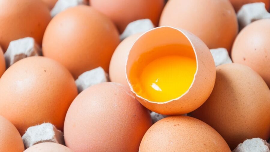 Кулінари розповіли, як перевірити, чи свіже яйце