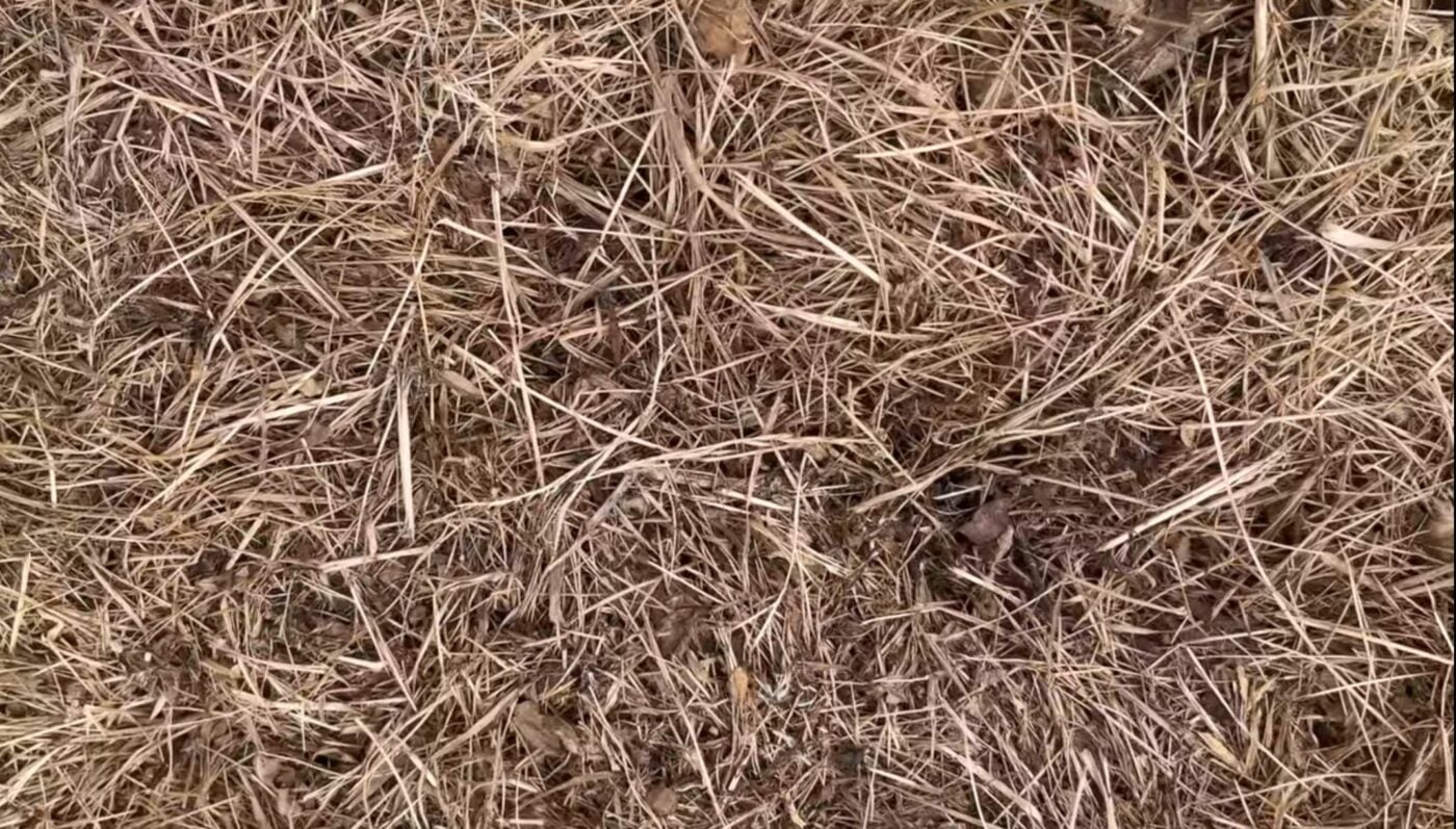 Як сплачувати за воду у 2 рази менше при поливі