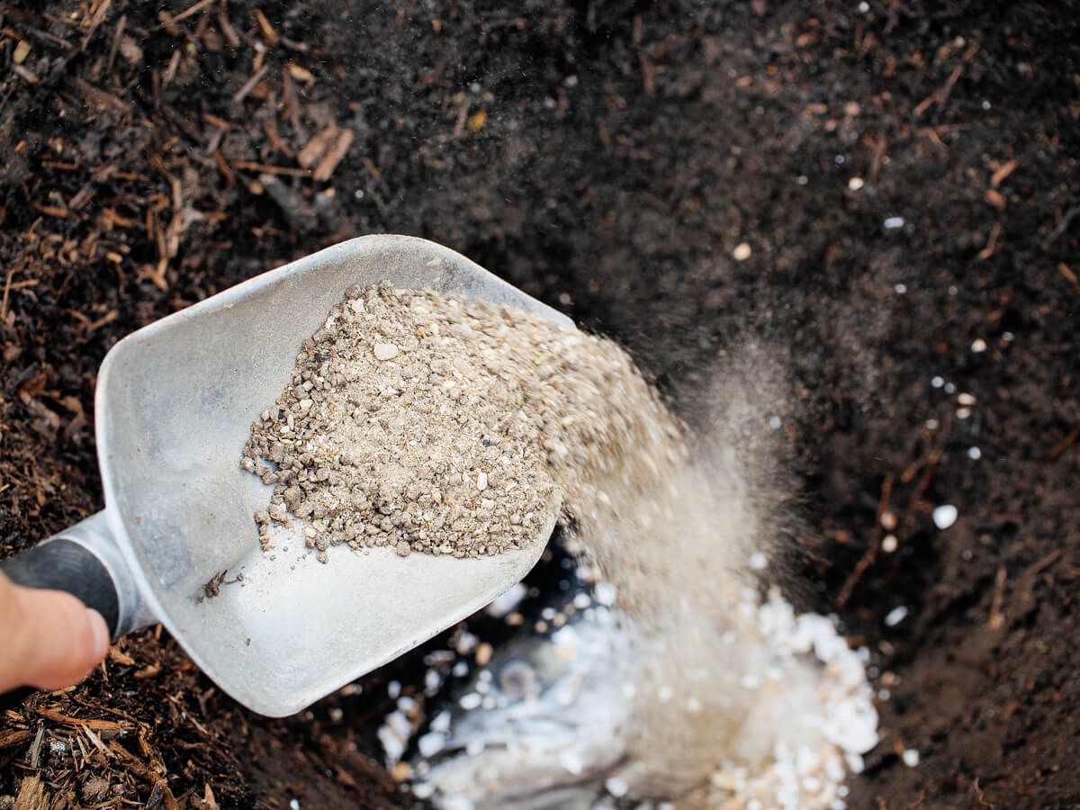 Чим треба підживити ґрунт восени для гарного врожаю