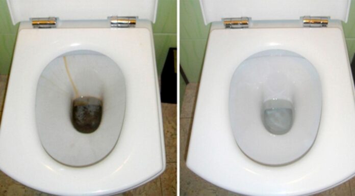Спеціалісти підказали, як зберегти чистоту й приємний запах унітазу