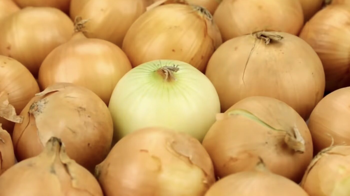 Як правильно укрити озиму цибулю на зиму