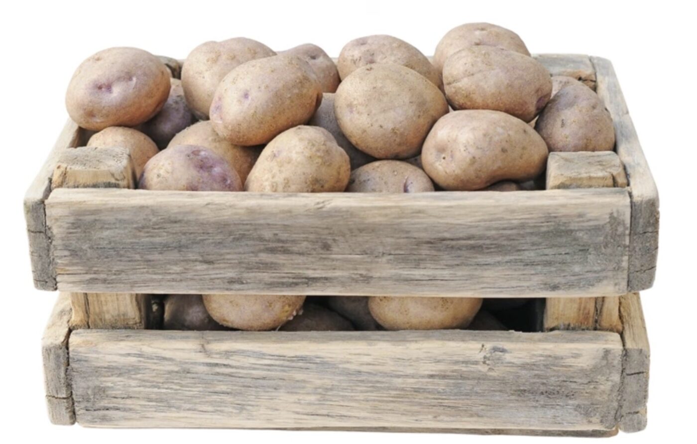 Які умови найкраще підходять для зберігання картоплі Які умови найкраще підходять для зберігання картоплі