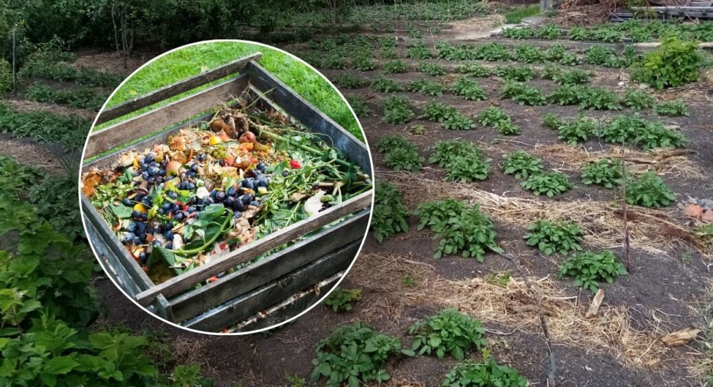 По 3 ложки у компост — і він дозріває у 2 рази швидше: мама з села пояснила, чому цей лайфхак діє 
