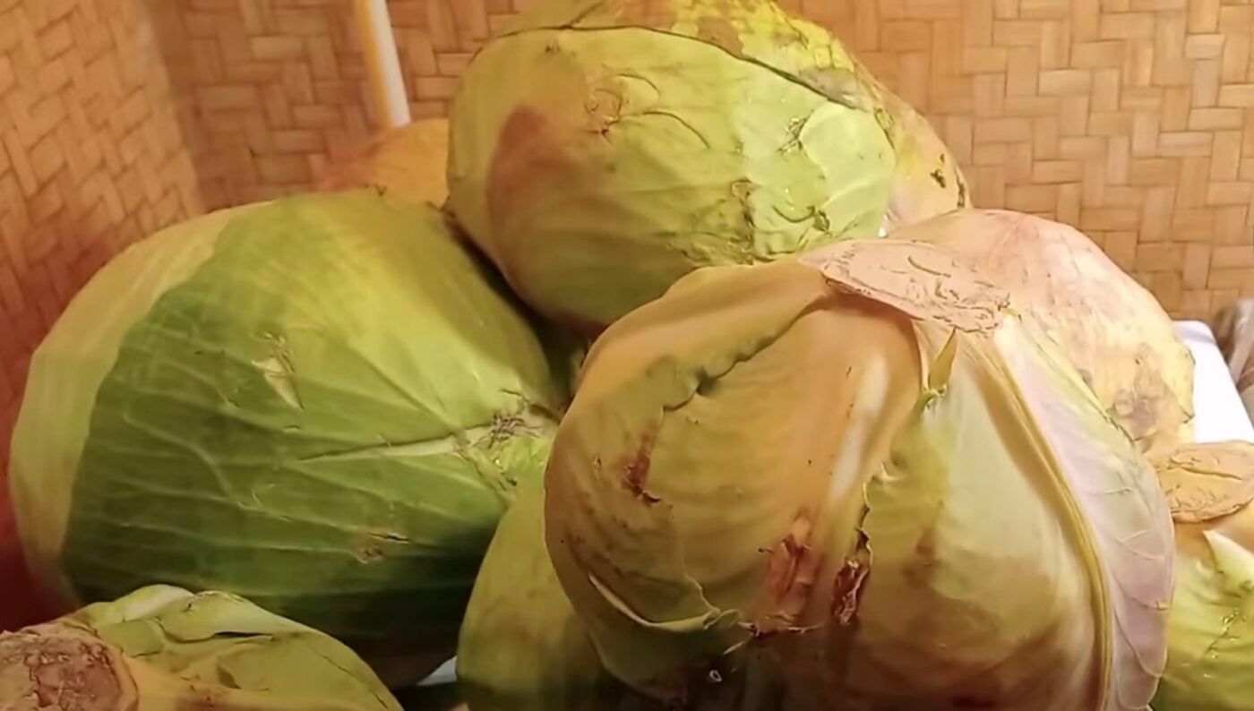 Як правильно зберігати капусту, щоб вона не чорніла Як правильно зберігати капусту, щоб вона не чорніла