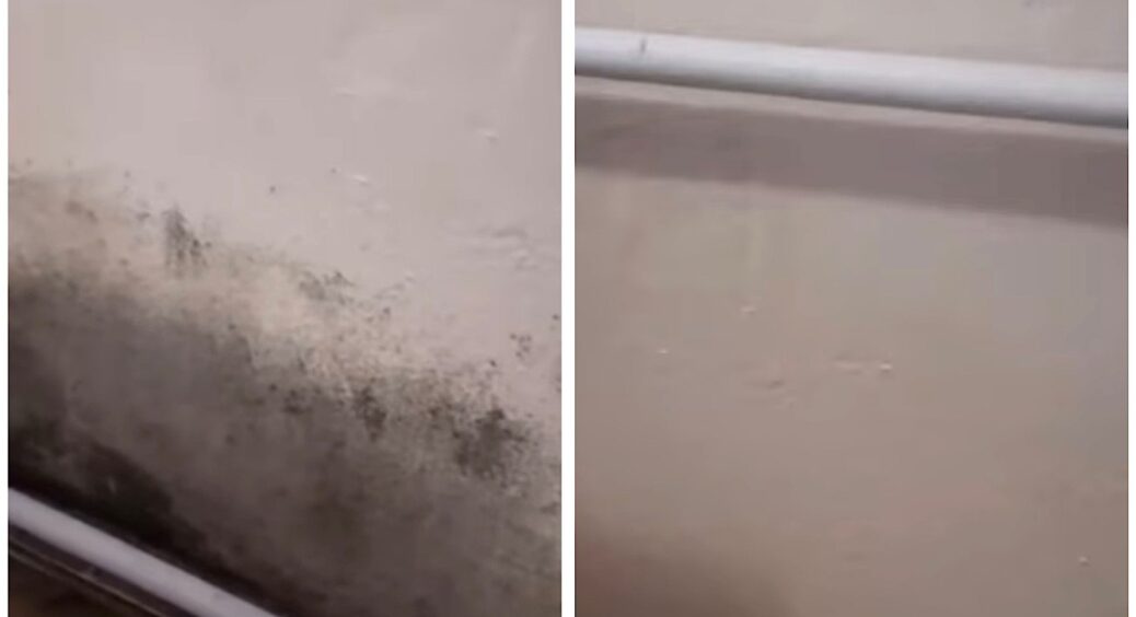 Цвіль зникне назавжди: треба тільки нанести на неї цей засіб – у бабусі в селі вже 5 років немає 