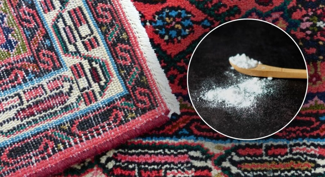 Пройшлася по килиму щіткою, змоченою у розчині з 2 ложок соди: ворс піднявся, а колір став як з хімчистки 