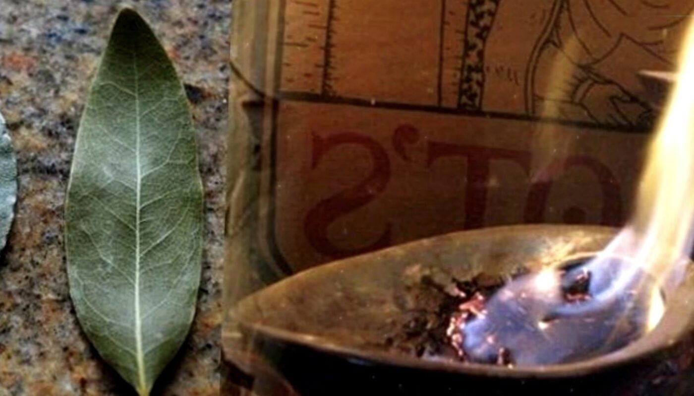 Як очистити простір за допомогою лаврового листа