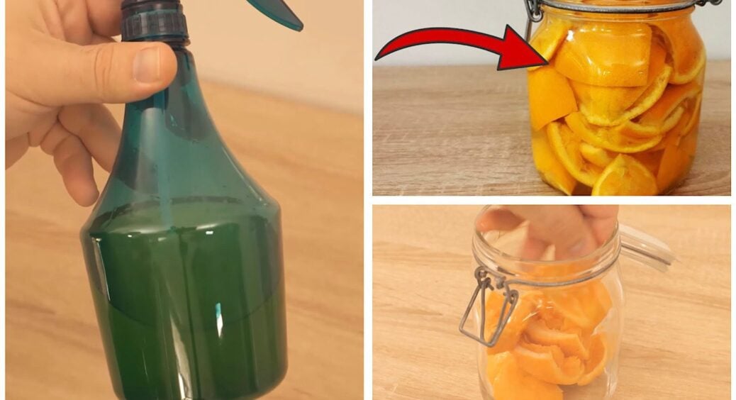 Заливаю шкірки апельсинів гарячою водою – і відмиваю ці 5 поверхонь на кухні від бруду та жиру 