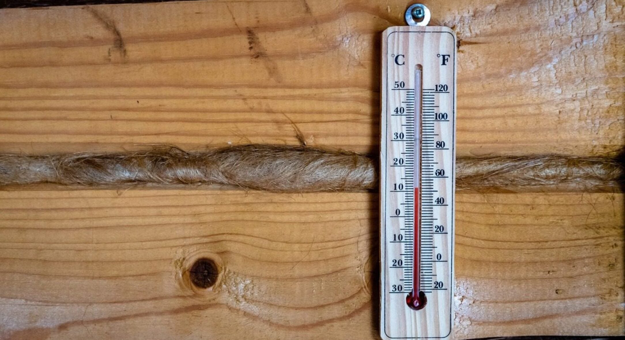 Надворі грудень, а на градуснику все ще “плюс”. Коли прийде справжня зима і чи буде сніг на Новий рік? 