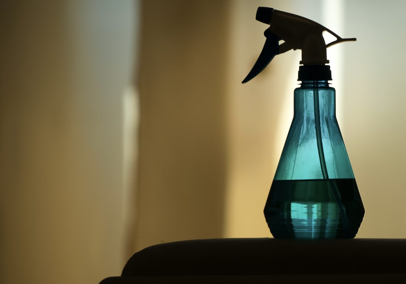 Як прибрати запах їжі з кухні саморобним ароматизатором