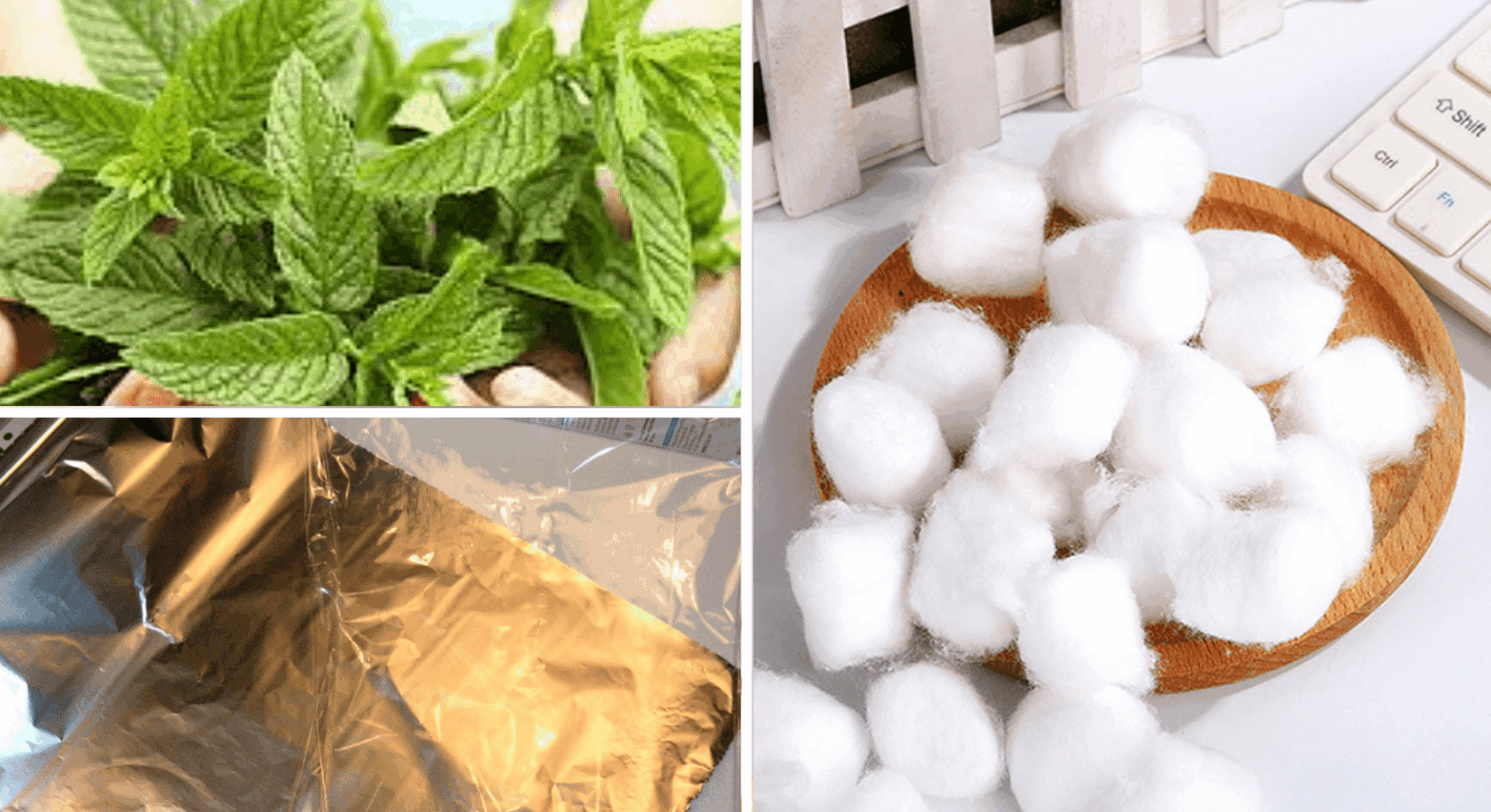 Розкладаю у грудні шматочки вати по всіх закутках: не заради свята, а з прозаїчною метою здолати гризунів 