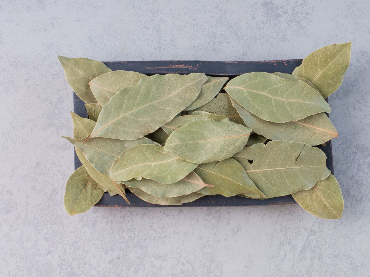 Експерти розповіли, як за допомогою лаврового листа набагато швидше та спокійніше заснути