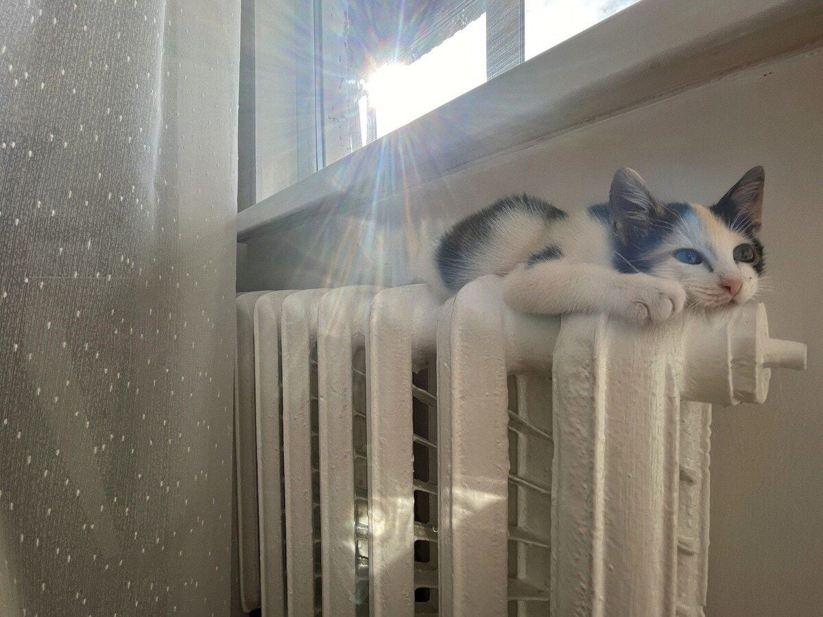 Експерти розповіли, як значно покращити тепловіддачу батареї за допомогою простого трюку