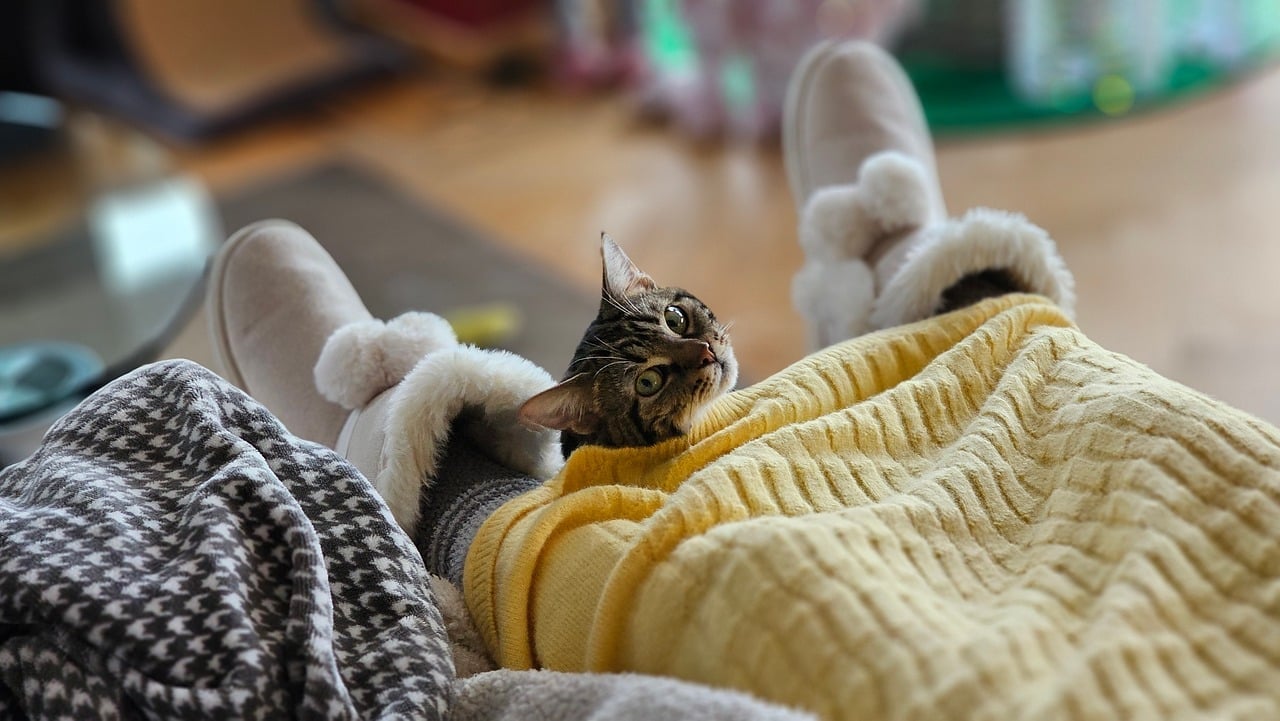 Експерти розповіли, як без опалення та світла зігріти ноги, аби було комфортно та тепло