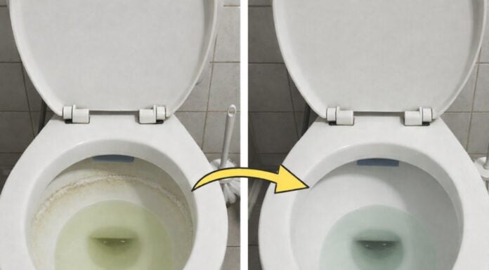 Як відмити наліт на унітазі