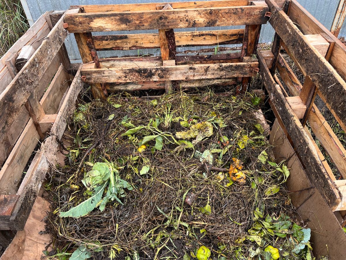 Експерти розповіли, як можна значно пришвидшити дозрівання компосту простою добавкою в купу