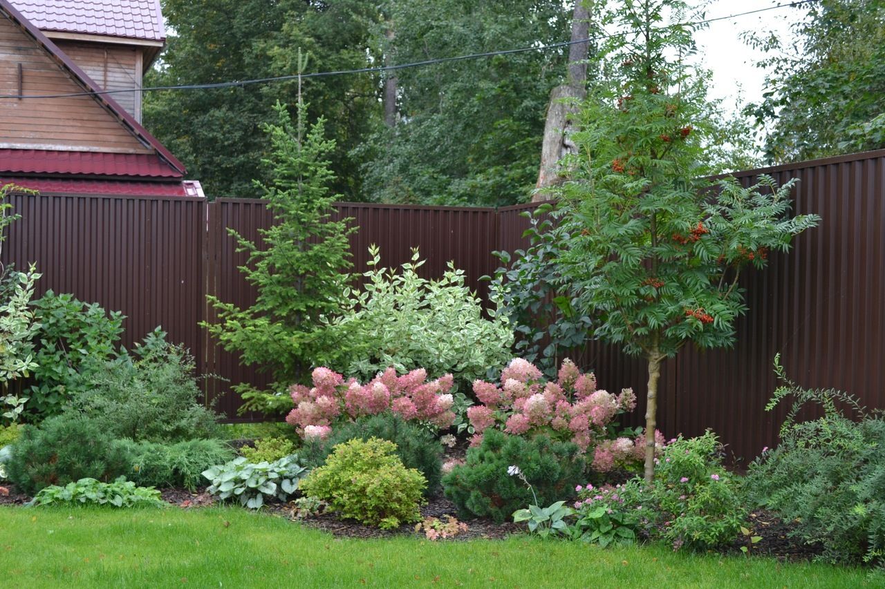 Експерти пояснили, які рослини краще не обрізати до настання Великодня, аби не пошкодити їх