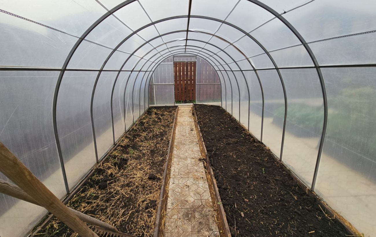 Городники розповіли, коли краще не провітрювати теплицю, аби врожайність була висока