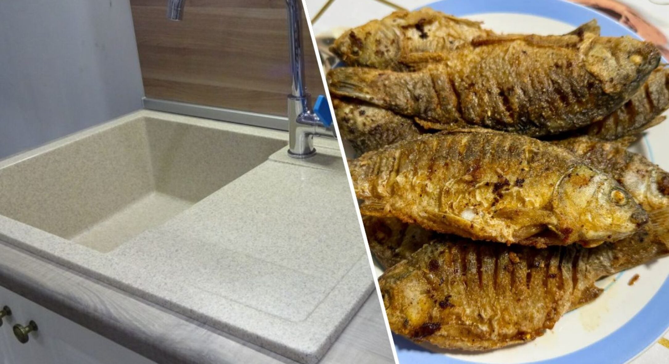 Посмажила рибу, а запах не вивітрюється навіть морозом -20: кидаю 1 кубик у раковину — й до ранку пахне 