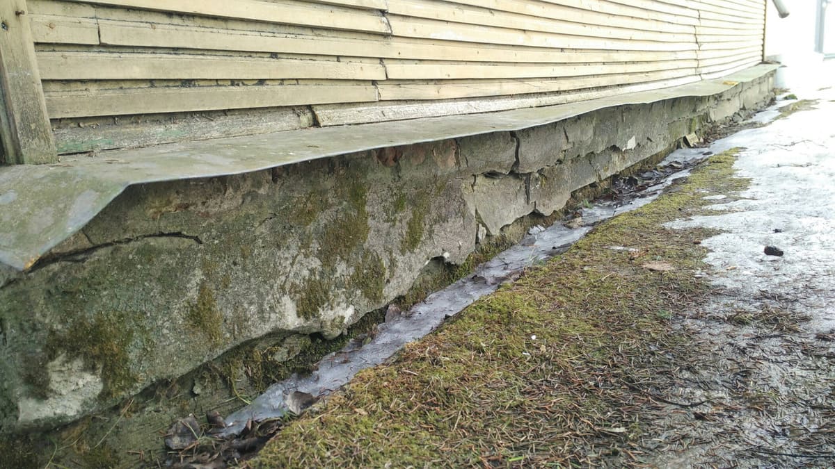 Садівники пояснили, які рослини краще не садити біля фундаменту, аби не довелось робити ремонт