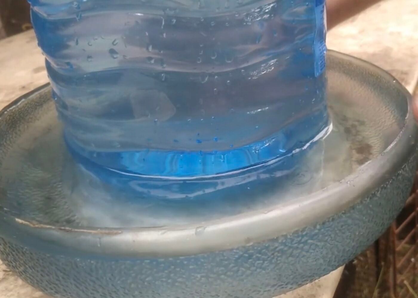 Як зробити поїлку для курей з підручних засобів